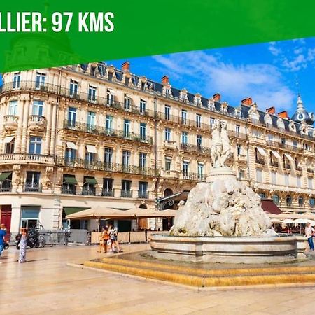 Апартаменти L'Olivier - 2 Terrasses - Clim Ac - Wifi - Proche Theatres Авіньйон Екстер'єр фото